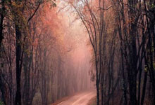 开云:记者:阿诺德已选择皇马作为下一站,皇马希望他随队踢世俱杯.