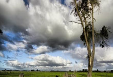 开云:孙颖莎/王艺迪晋级女双4强央视体育.