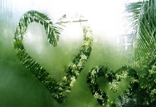 B-罗布森:B费已达到我对曼联队长的期望,遗憾球队表现不够好.